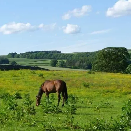 The Summer Palace Nyaraló *
