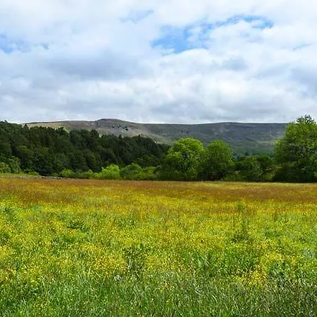 The Summer Palace Middleham